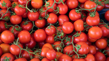 Peers debate food security