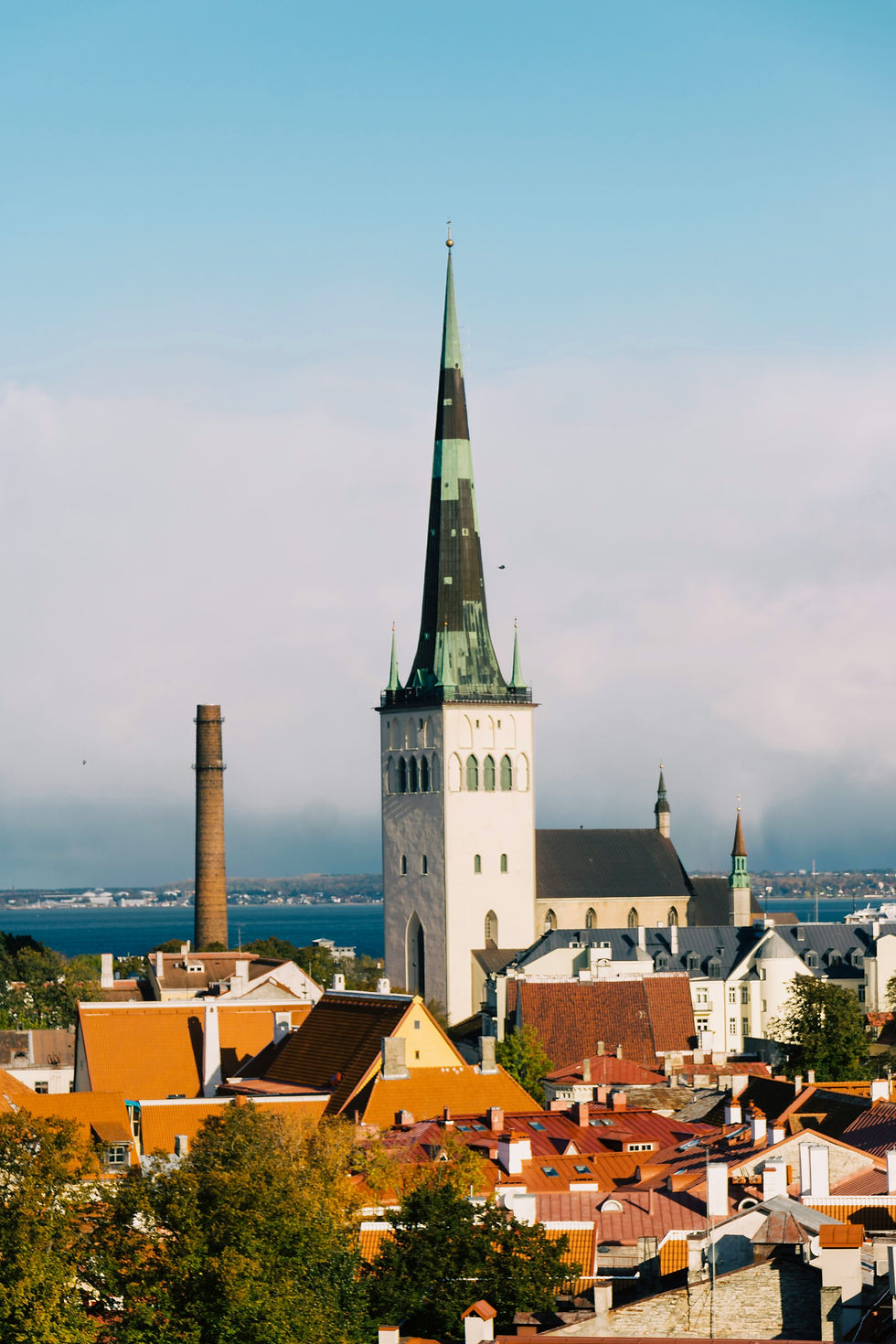 A view of an Estonian village