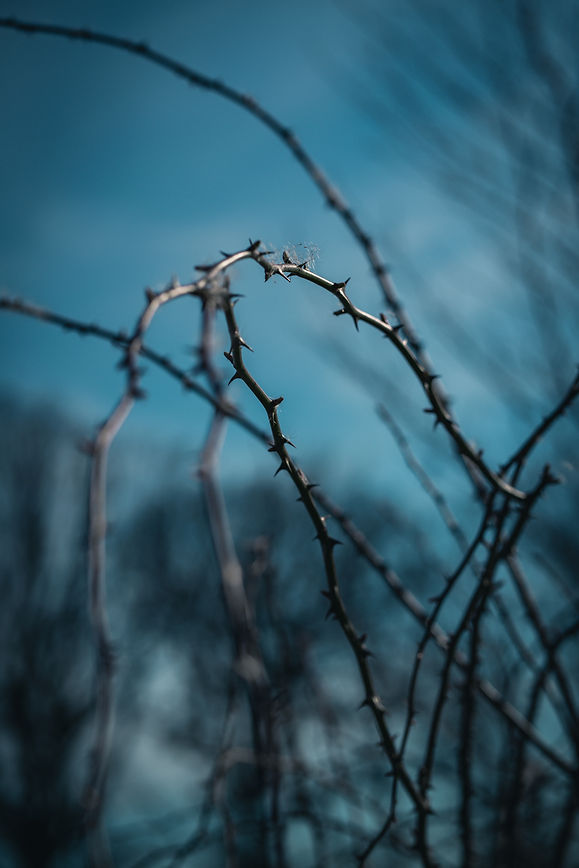Image by Dominik Kempf