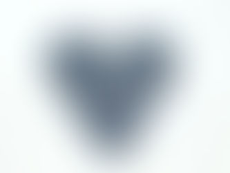 Heidelbeeren als Hausmittel gegen Durchfall beim Hund