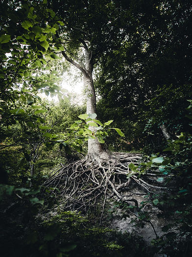Image by Jacob Buchhave
