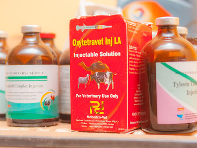 FDA's Bioavailability Guidance for NDAs or INDs- General consideration
