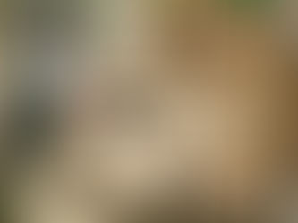 T-Shirt Printing and Embroidery Techniques for High-Quality Custom Apparel