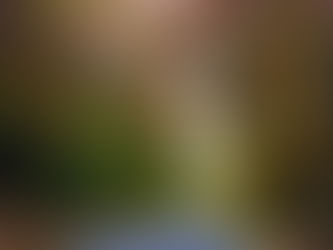 Where am I? - United States Part 14