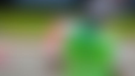 Creative Ways for Non Profit Organizations to Celebrate Volunteers