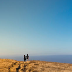 Walking the Walk