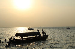 Image by Bruna A. L. Afonso