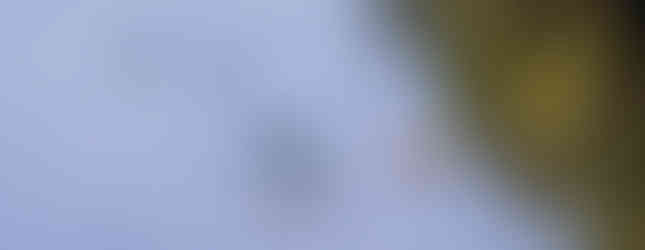 Reserver en ligne canoé dordogne