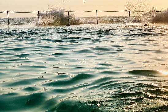 Image by Gregory Gomez