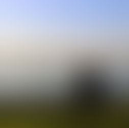 Quando sentir demais vira solidão