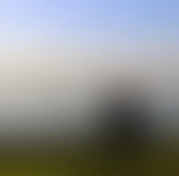 Quando sentir demais vira solidão