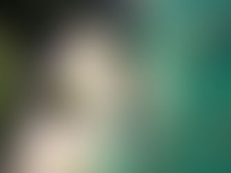 Edicion Diciembre 9 de 2022