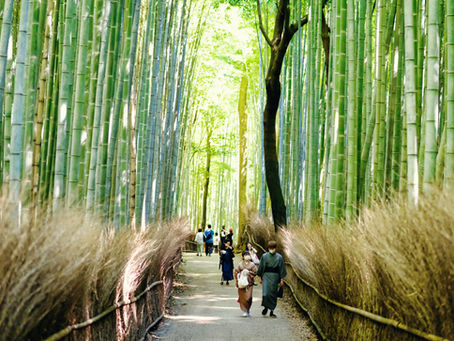 Arashiyama bamboo forest Kyoto Japan