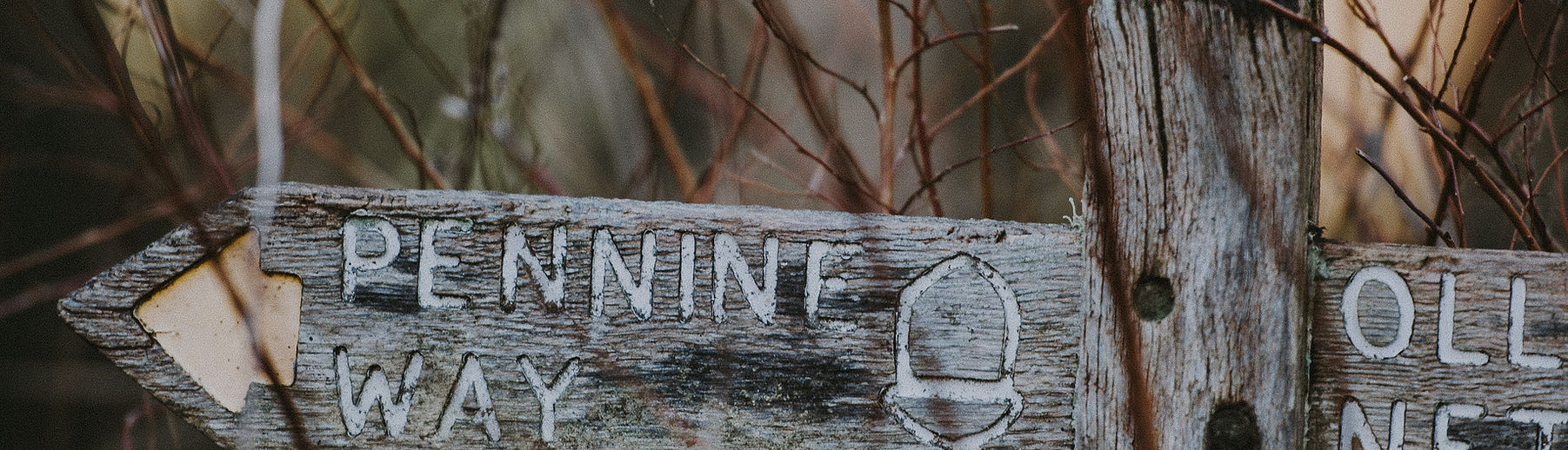 Image by Annie Spratt