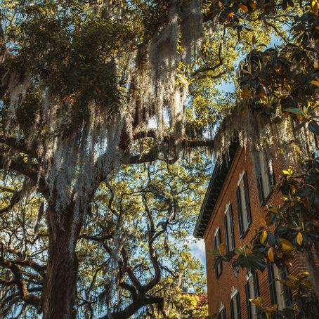 Savannah, Georgia