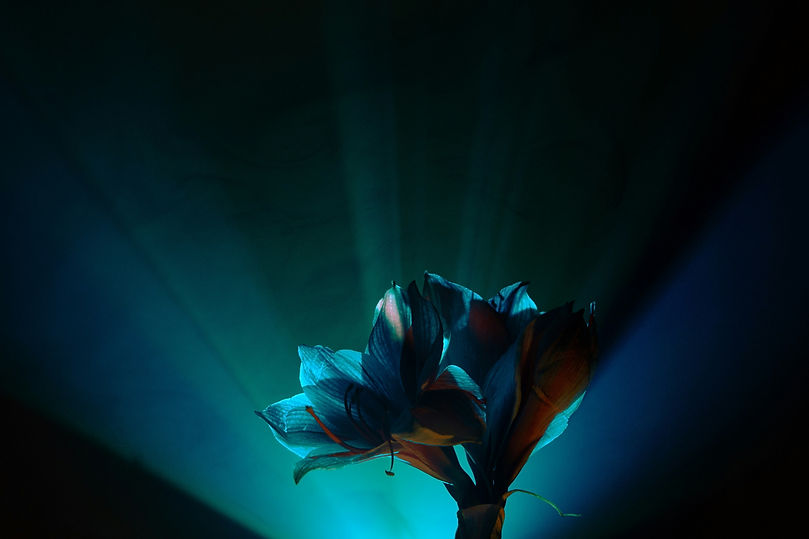 Image by Klara Kulikova
