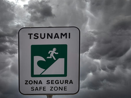 Precaución o Exceso de Poder: Un Análisis Constitucional y Fáctico de la Respuesta de Chile a la Alerta de Tsunami de Julio de 2025