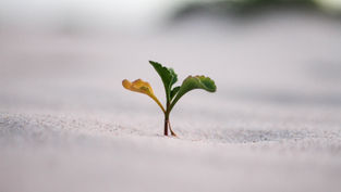 Building a Resilient Institution: Key Management Strategies