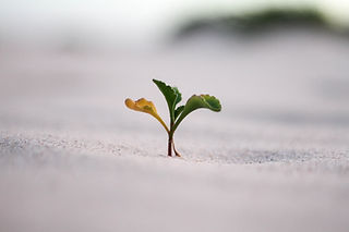 Image by Jeremy Bishop