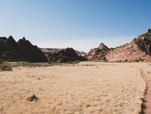 The Midlife Journey: Wisdom from Psalms 42-72