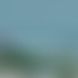 Companhias aéreas internacionais vão poder operar voos domésticos na Amazônia