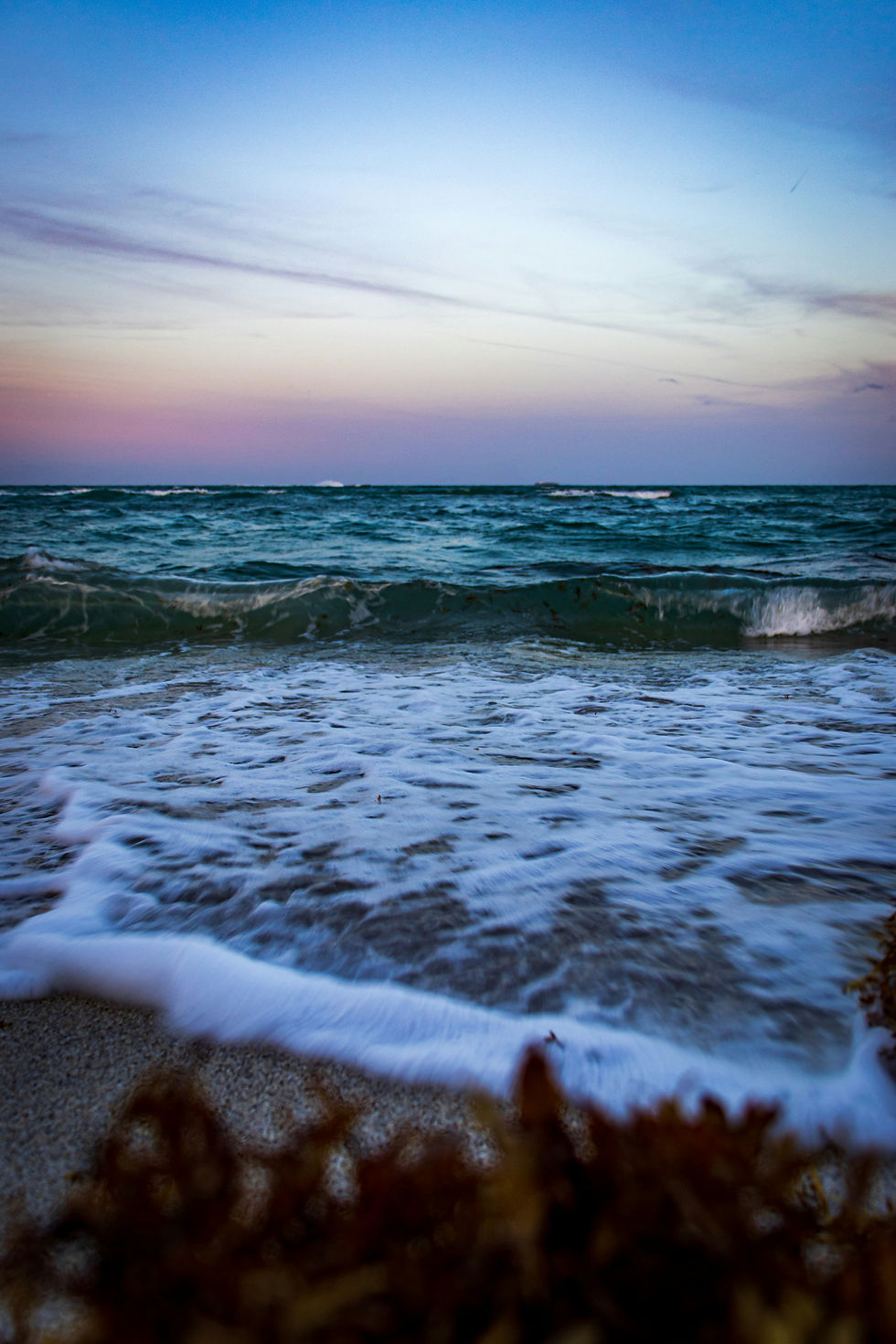 Waves gently wash ashore on a sandy beach under a pastel sunset sky. The ocean is teal, and seaweed is visible in the foreground. Calm mood.