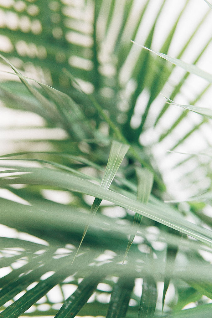 Image by Alex Perri