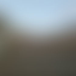 View of a traditional school building with an open courtyard, surrounded by multiple school blocks and a few fallen leaves on the ground.