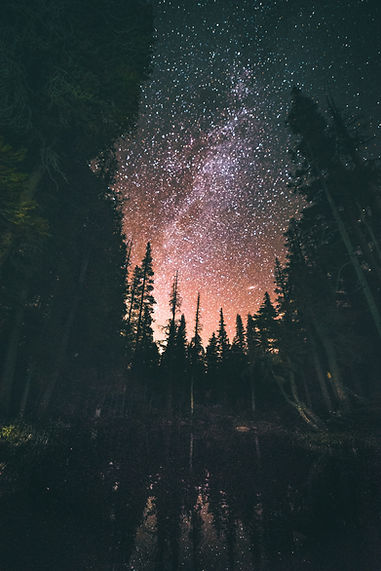 Image by Patrick Schneider