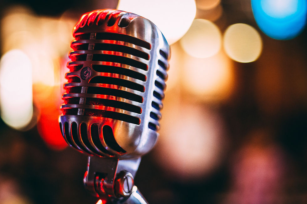 Entertainment Microphone