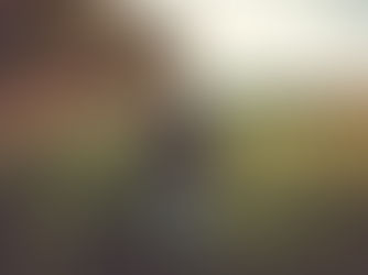 Person in a dark jacket walks through a sunlit field towards trees with a clear sky, evoking a sense of freedom and serenity.