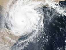 Tropical Depression Two Forms Off Florida's West Coast — What It Means for Wesley Chapel This Week