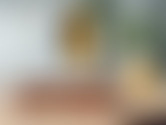 Pastor's Reflection - December 14, 2025