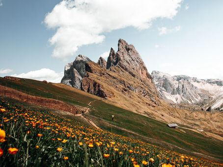 2023.5.17 箴言 11 章 22~31 節「神様に従い、人を潤す人」