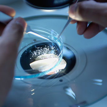 Image by National Cancer Institute