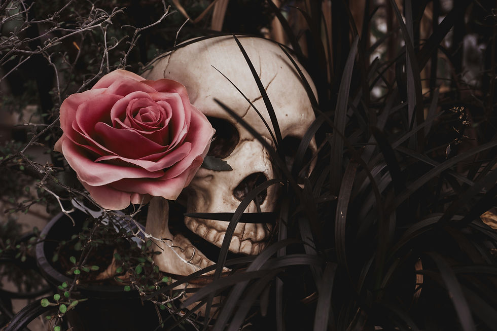 Donna McL