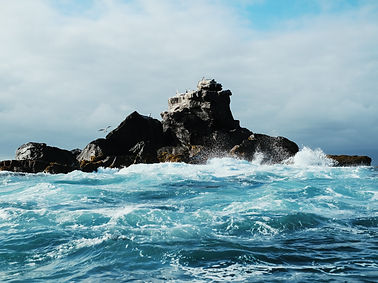 Image by Patrick Boucher