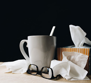 Image by Kelly Sikkema