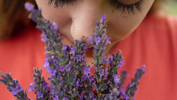 A person in a red shirt gently smells a bouquet of purple lavender flowers, showcasing a serene and peaceful mood.