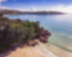 Aerial view showcasing a serene Waiheke Island beach meeting the vast ocean, highlighting the beauty of nature's coastline.