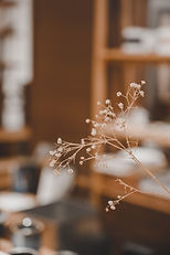 Image by Jojo Yuen (sharemyfoodd)