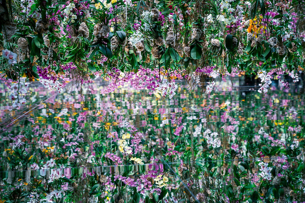 Museu interativo Tóquio