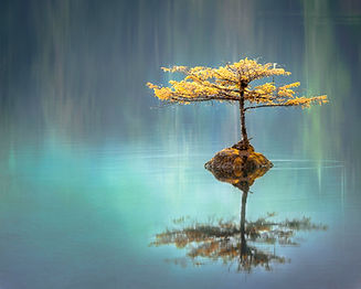 Image de Faye Cornish
