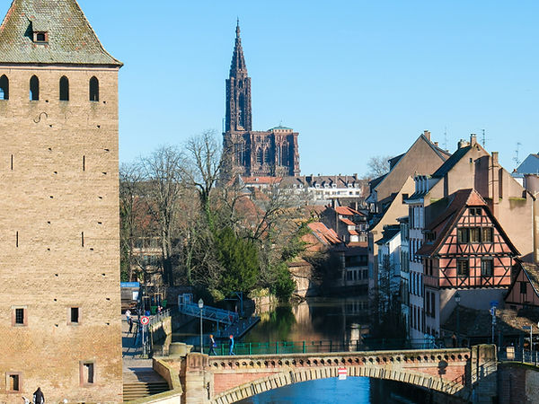 Image de Sarah Sheedy