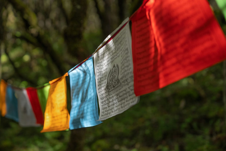 Image by Rocky Pamir