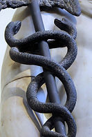 Image by Anne Nygård