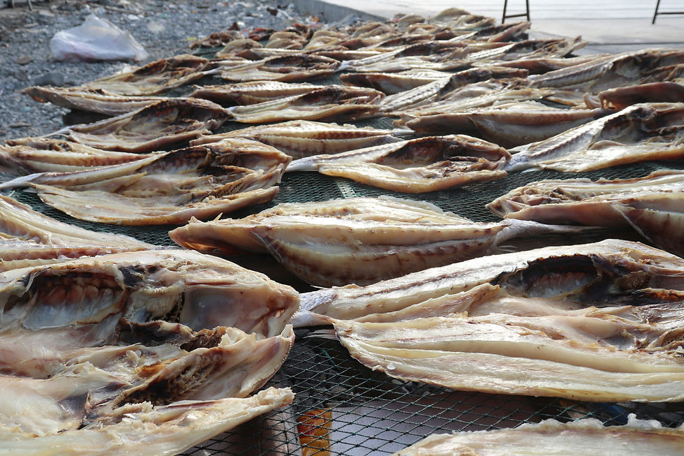 Dried fish in Midigama, Sri Lanka