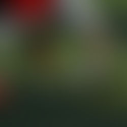 Ból Kostki: Kiedy to zwykłe skręcenie, a kiedy coś poważniejszego? Różnicowanie dolegliwości bólowych w okolicy stawu skokowego