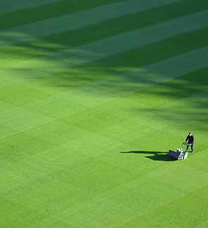 Image by Rémi Müller