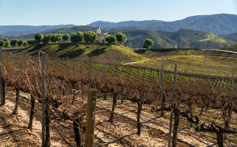 Leoness Winery